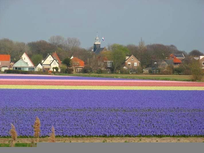 De Blaauboer, Vakantiehuisje Egmond aan Zee Camera foto