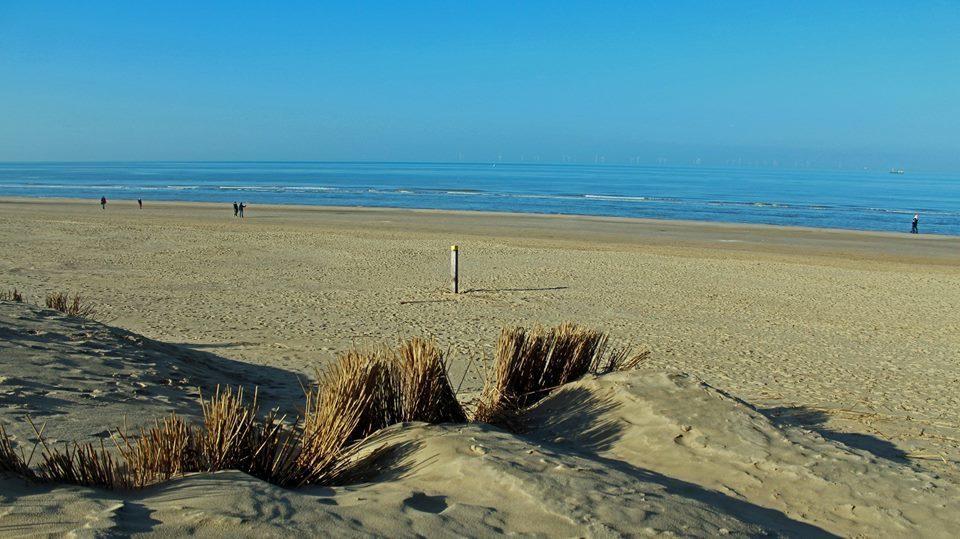 De Blaauboer, Vakantiehuisje Egmond aan Zee Esterno foto