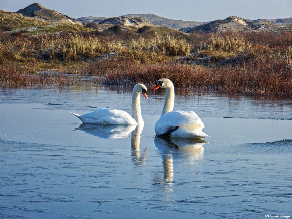 De Blaauboer, Vakantiehuisje Egmond aan Zee Esterno foto