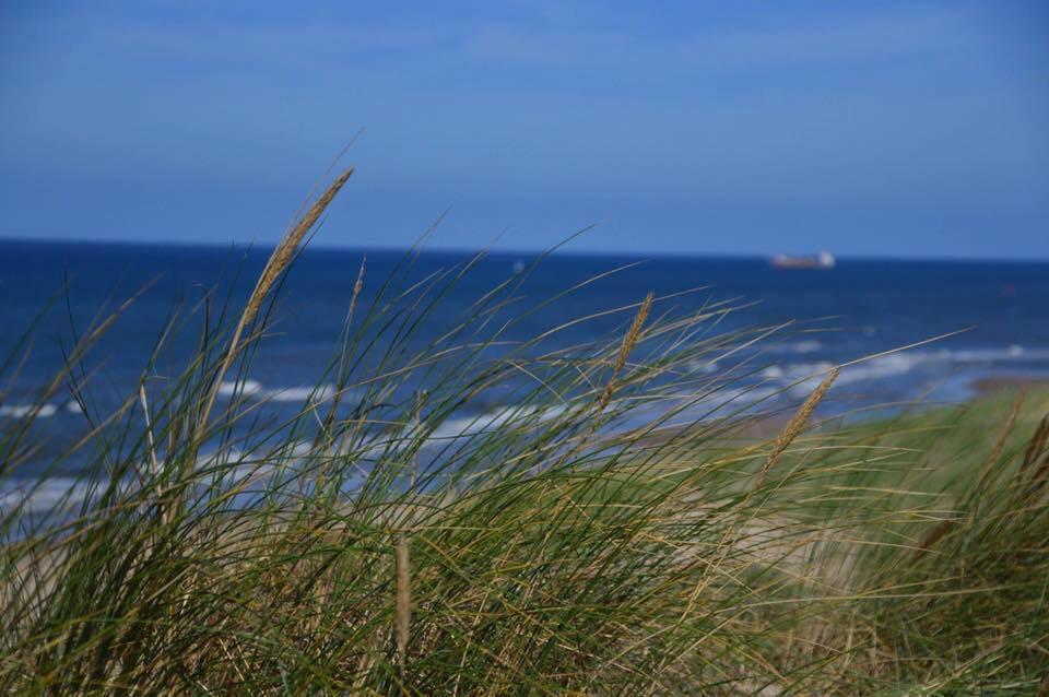 De Blaauboer, Vakantiehuisje Egmond aan Zee Esterno foto